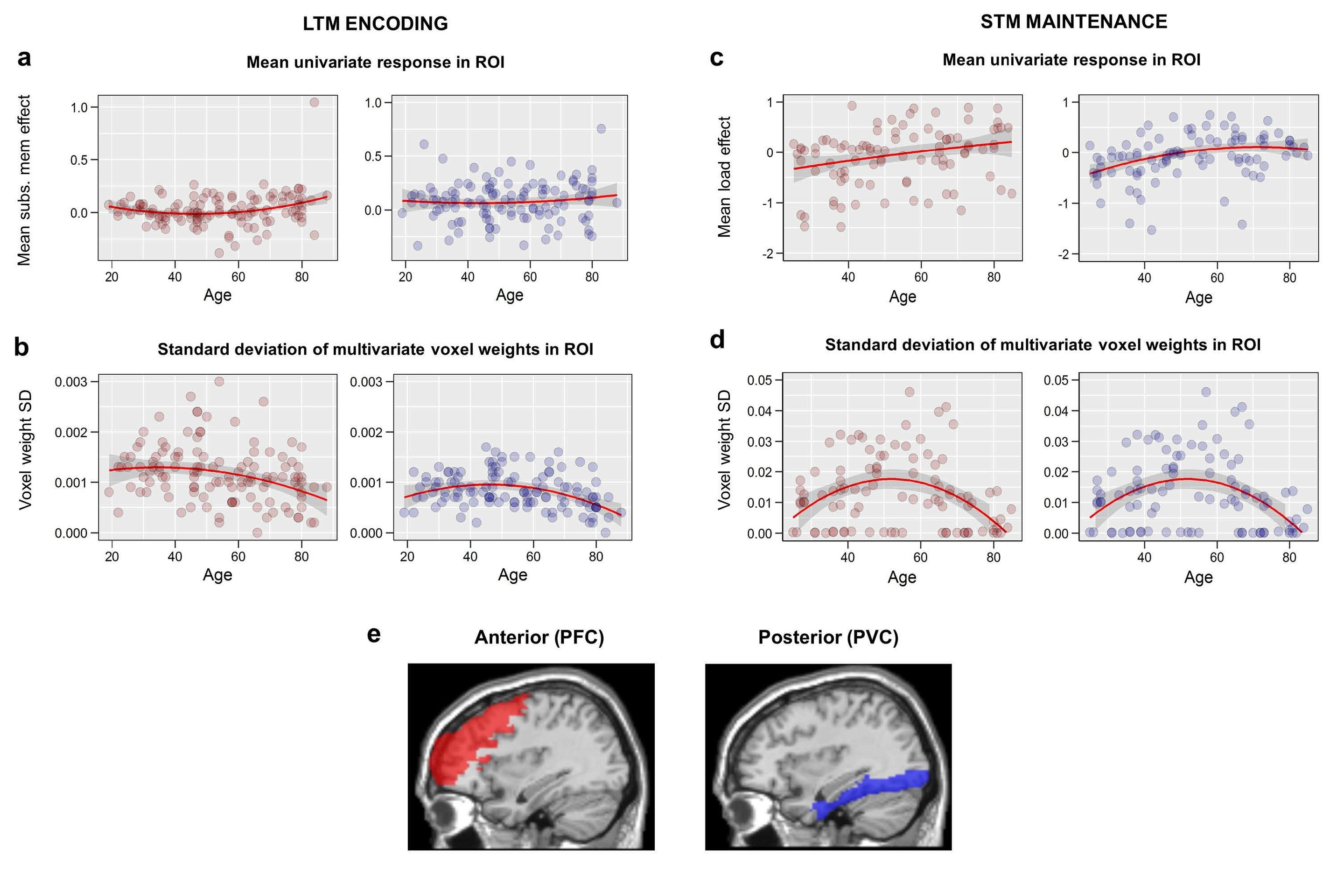 The Impact Of Brain Iron On ADHD And Cognitive Decline With Age The Impact Of Brain Iron On ADHD And Cognitive Decline With Age