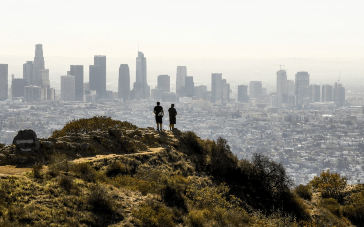 The Impact Of Immigration On California's Population Numbers The Impact Of Immigration On California's Population Numbers