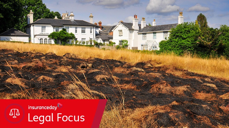 The Impact Of Wildfires On The UK's Rarest And Most Endangered Species The Impact Of Wildfires On The UK's Rarest And Most Endangered Species