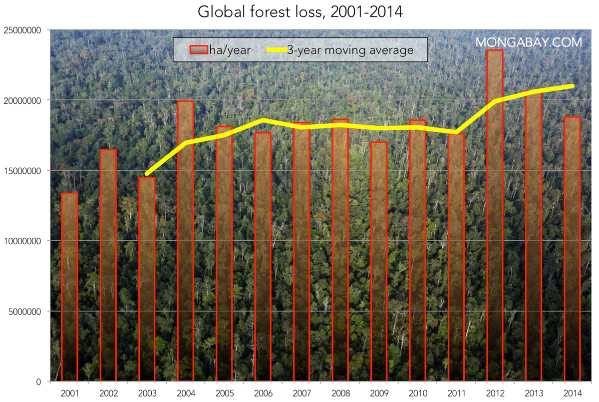The Impact Of Wildfires: Unprecedented Global Forest Loss The Impact Of Wildfires: Unprecedented Global Forest Loss