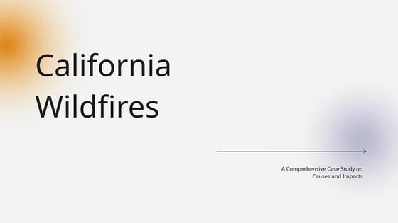 The Los Angeles Wildfires: A Case Study In Disaster Speculation The Los Angeles Wildfires: A Case Study In Disaster Speculation