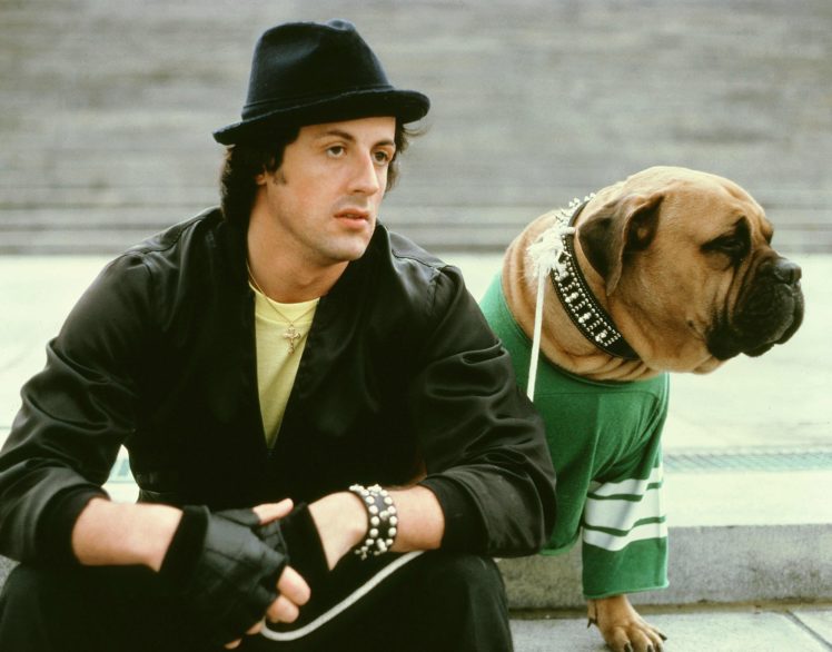 The Most Emotional Rocky Movie According To Sylvester Stallone The Most Emotional Rocky Movie According To Sylvester Stallone
