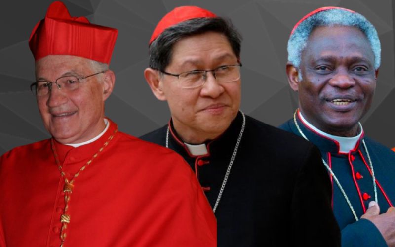 The Papal Conclave: Exploring Potential Candidates To Replace Pope Francis The Papal Conclave: Exploring Potential Candidates To Replace Pope Francis