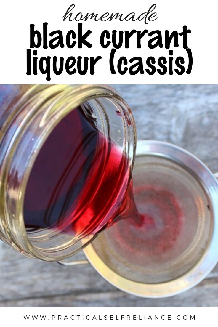 The Rich History Of Cassis Blackcurrant The Rich History Of Cassis Blackcurrant