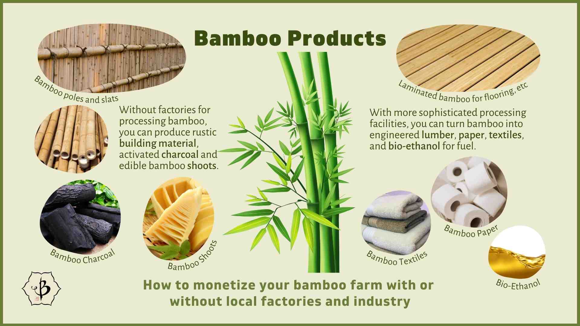 The Sustainability Of Gucci's Bamboo Products: A Comprehensive Analysis