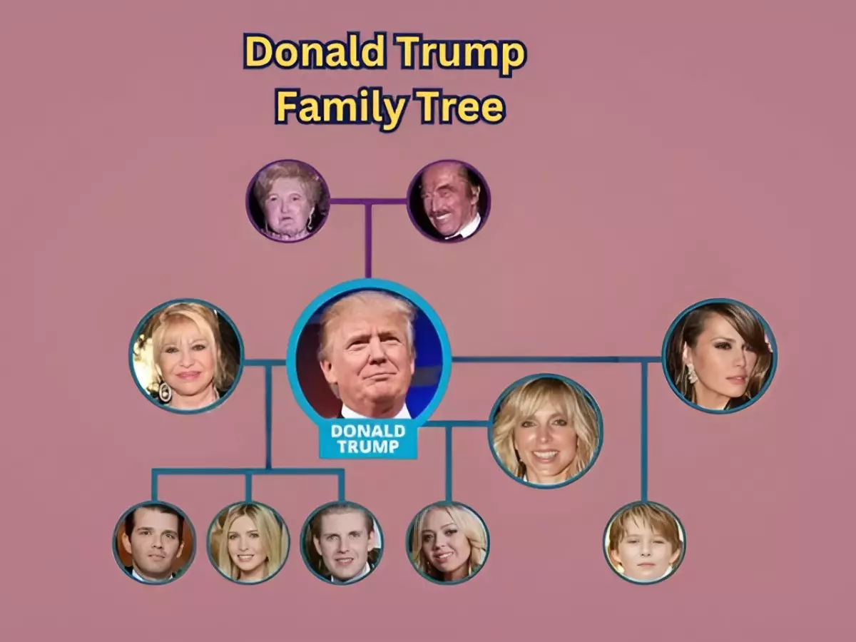 The Trump Family Tree: A Detailed Guide To The President's Family The Trump Family Tree: A Detailed Guide To The President's Family