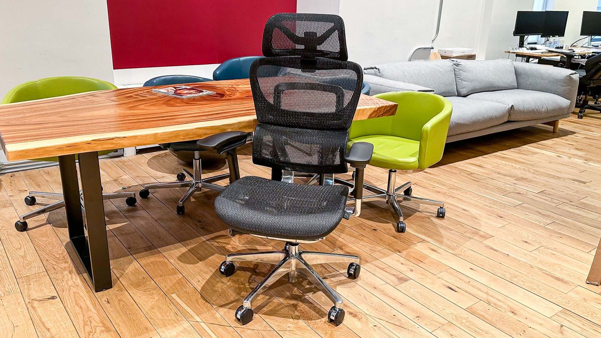 The Ultimate Guide To The Best Office Chairs For 2025 The Ultimate Guide To The Best Office Chairs For 2025