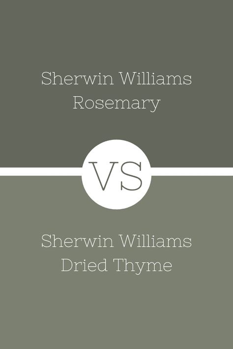 The Versatile Duo: Rosemary & Thyme In Your Kitchen And Garden The Versatile Duo: Rosemary & Thyme In Your Kitchen And Garden
