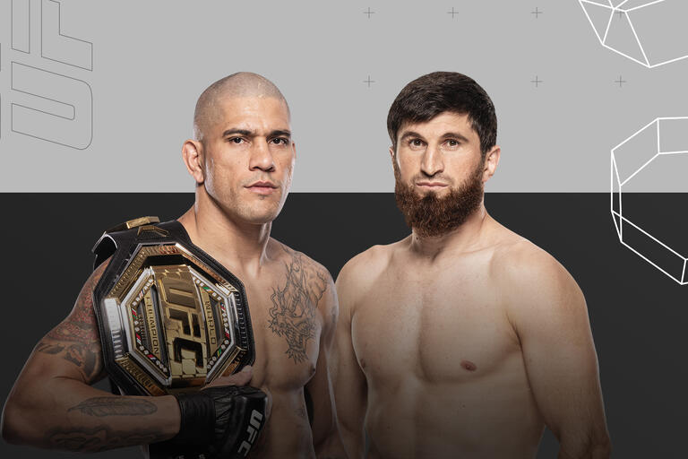 UFC 313: What To Expect From The Pereira Vs Ankalaev Fight Card UFC 313: What To Expect From The Pereira Vs Ankalaev Fight Card