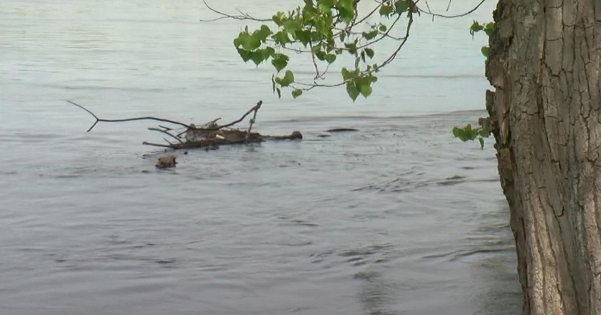Understanding Flood Warnings: Safety Precautions From The NWS Understanding Flood Warnings: Safety Precautions From The NWS