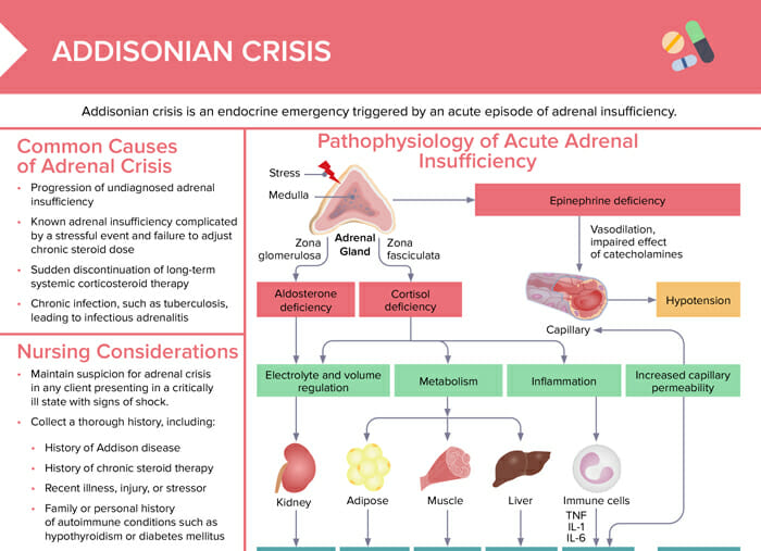 Understanding The Newark Airport Crisis: Causes And Consequences Understanding The Newark Airport Crisis: Causes And Consequences