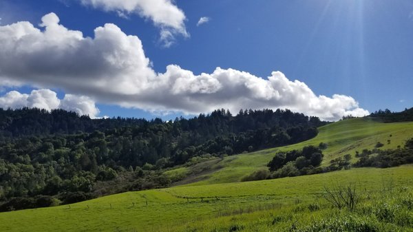 Urgent Search: 79-Year-Old Missing In Portola Valley Preserve Urgent Search: 79-Year-Old Missing In Portola Valley Preserve