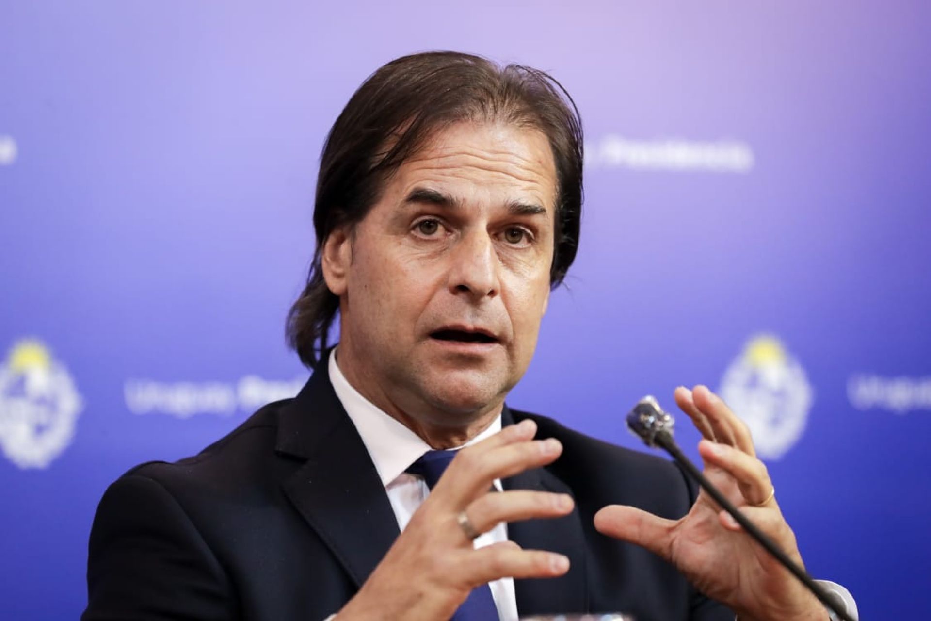 Uruguay Apuesta Por China: Un Regalo Inusual Para Fortalecer Exportaciones Ganaderas Uruguay Apuesta Por China: Un Regalo Inusual Para Fortalecer Exportaciones Ganaderas