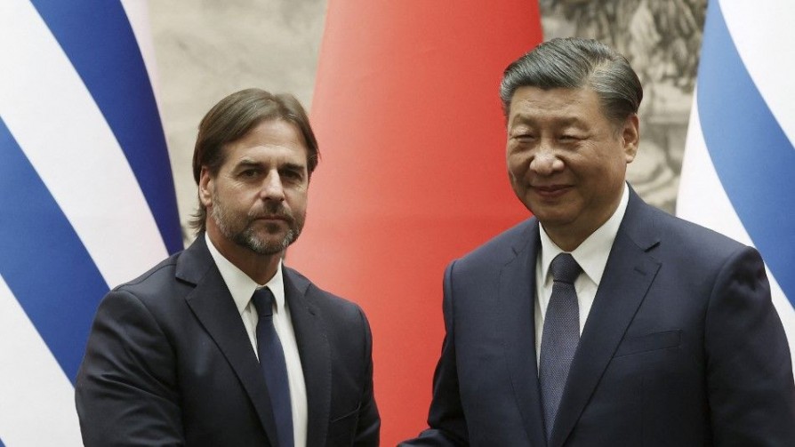 Uruguay Envía Tres Toros A China Como Obsequio A Xi Jinping Uruguay Envía Tres Toros A China Como Obsequio A Xi Jinping