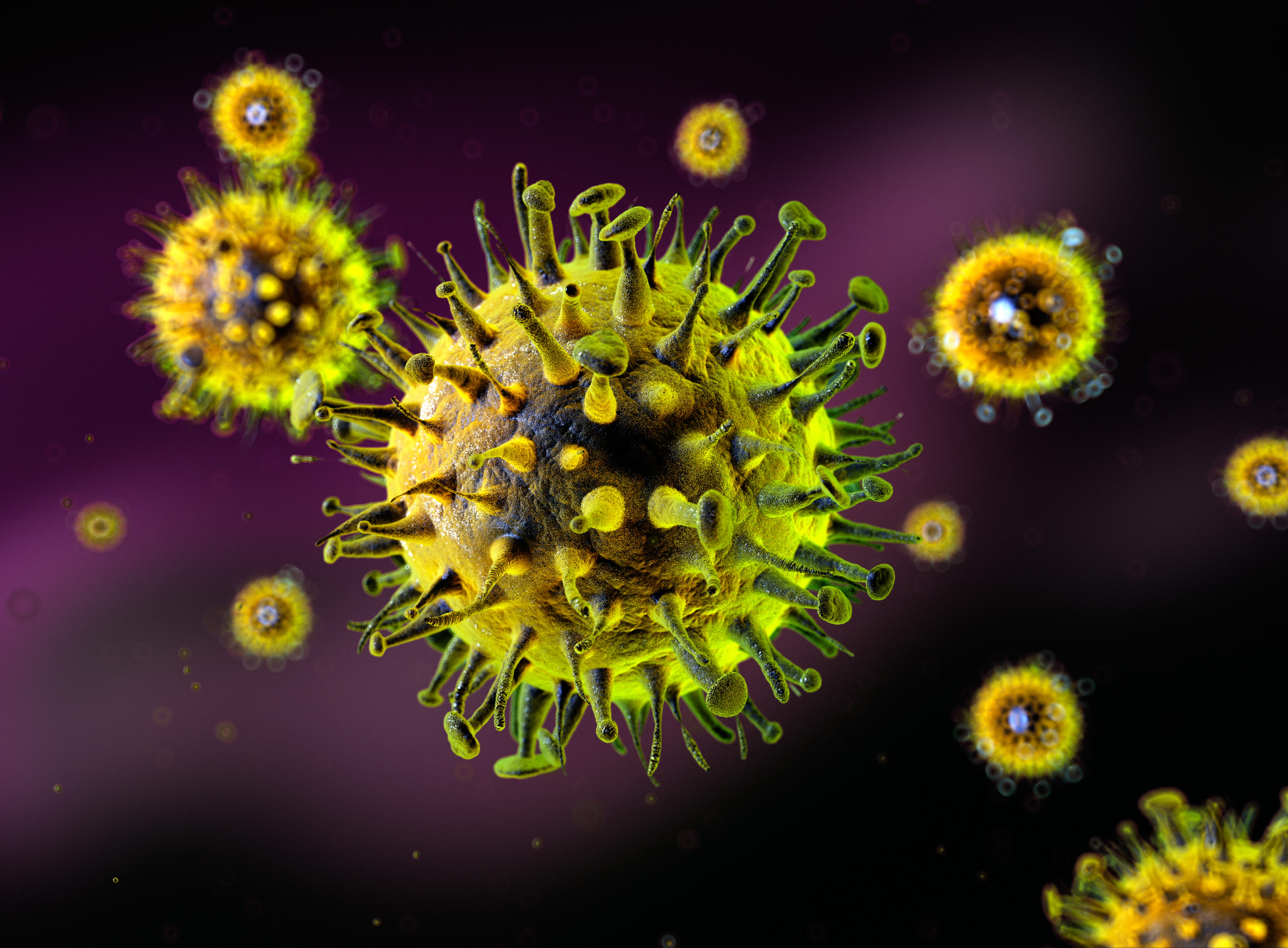 Virginia Reports Second Measles Case In 2025: Health Officials Investigate Virginia Reports Second Measles Case In 2025: Health Officials Investigate