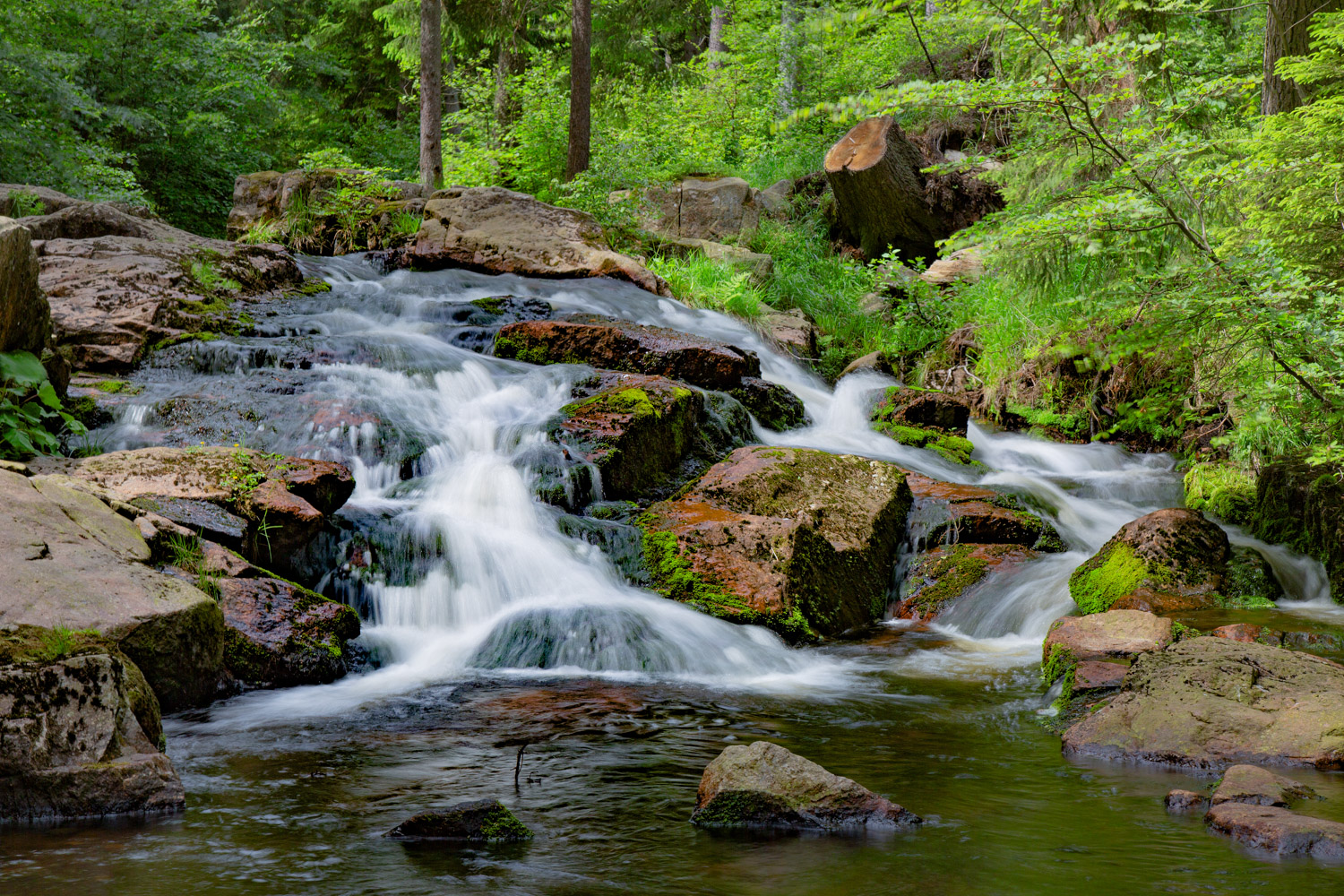 Waldbrandprävention Sachsen: Innovative Technik Im Nationalpark Waldbrandprävention Sachsen: Innovative Technik Im Nationalpark