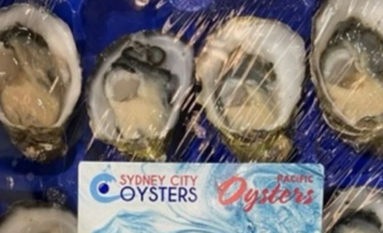 Walmart Recall Affects ORVs, Oysters, And Electric Scooters – Check Your Products Walmart Recall Affects ORVs, Oysters, And Electric Scooters – Check Your Products