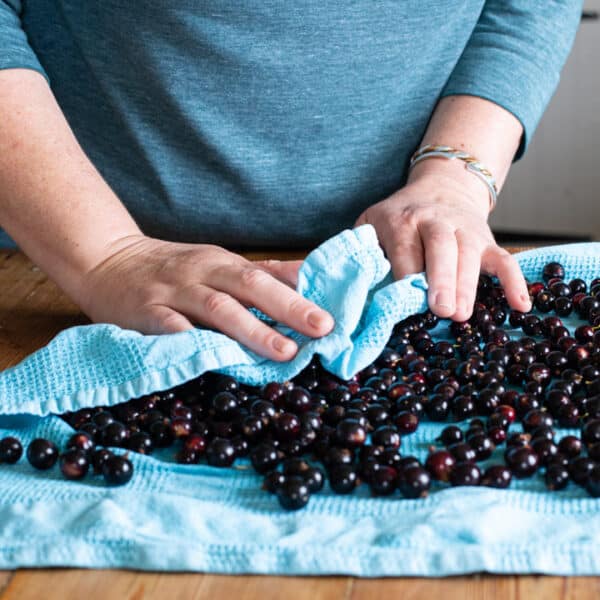 Where To Find And How To Grow Cassis Blackcurrant: A Producer's Perspective Where To Find And How To Grow Cassis Blackcurrant: A Producer's Perspective