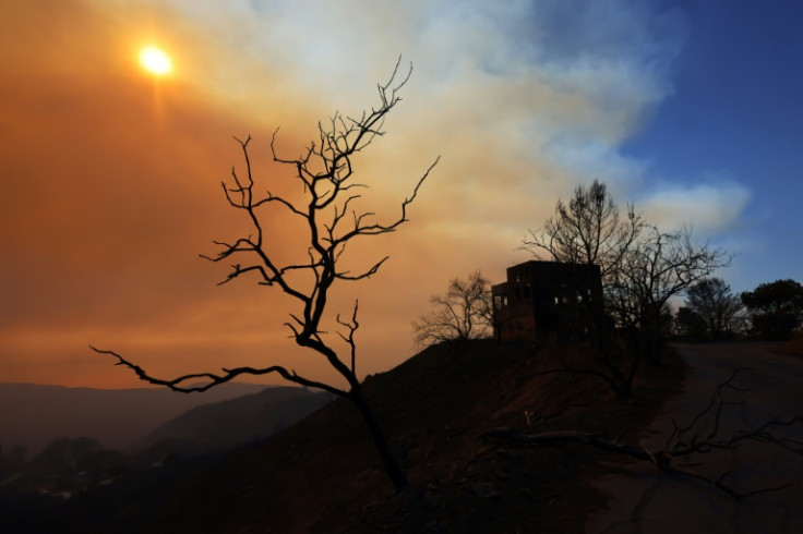 Which Celebrities Lost Homes In The LA Palisades Fires? Full List Revealed Which Celebrities Lost Homes In The LA Palisades Fires? Full List Revealed