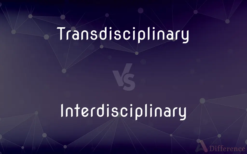 Why Interdisciplinary And Transdisciplinary Approaches Matter Why Interdisciplinary And Transdisciplinary Approaches Matter