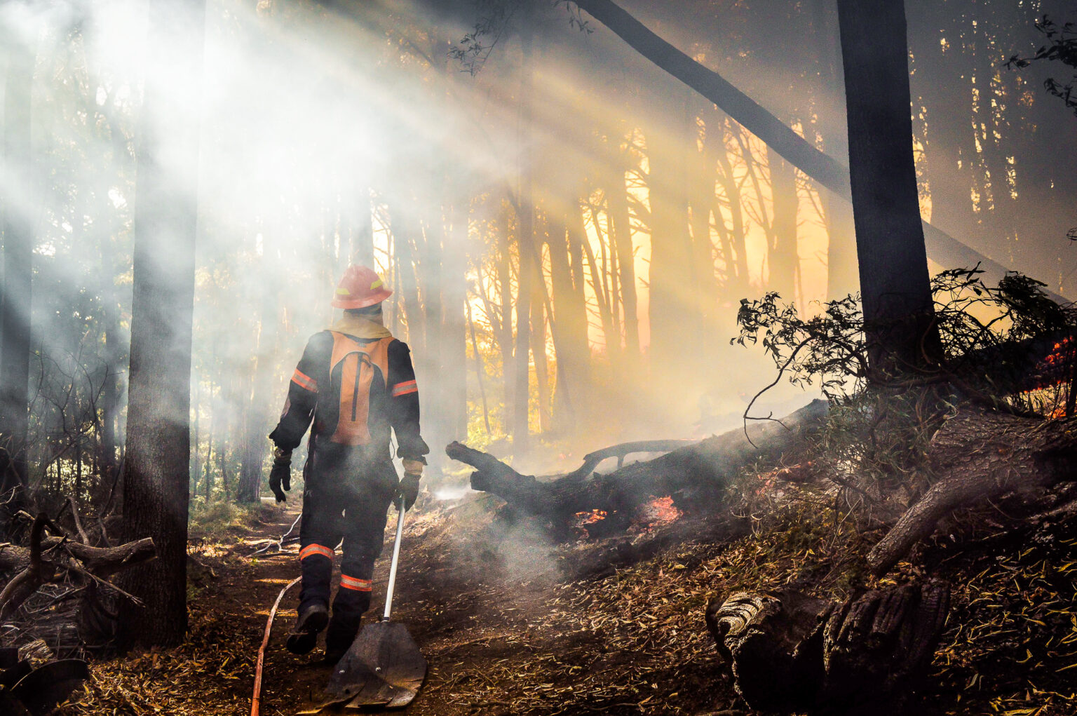 Wildfire Speculation: Examining The Ethics Of Betting On Natural Disasters Wildfire Speculation: Examining The Ethics Of Betting On Natural Disasters