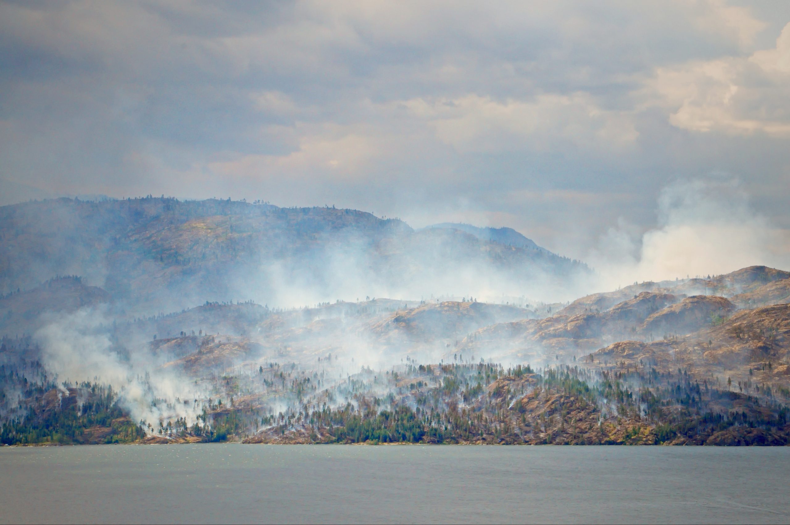 Wildfires Devastate UK's Rarest Wildlife, Driving Species To Brink Wildfires Devastate UK's Rarest Wildlife, Driving Species To Brink