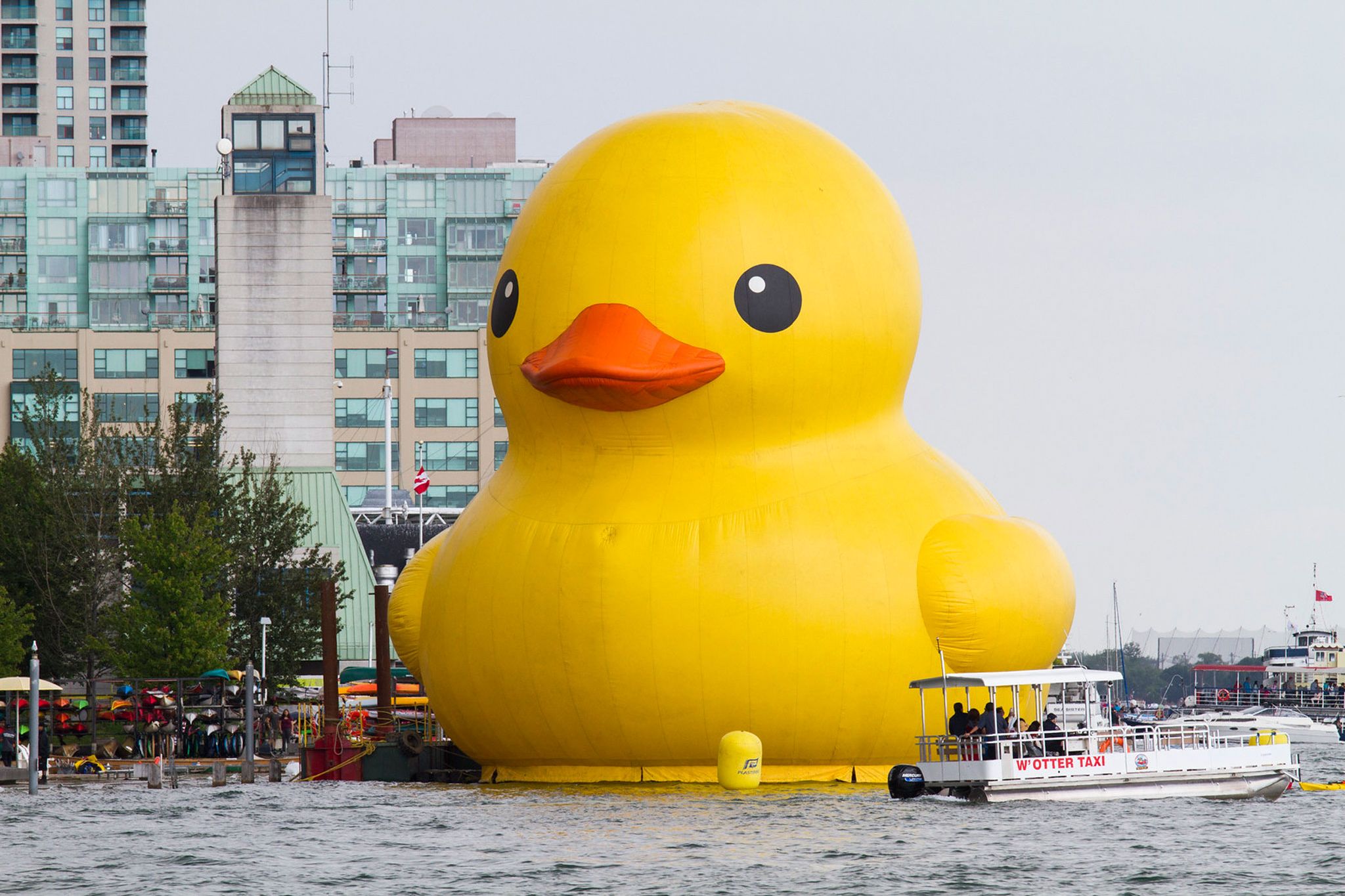 World's Largest Rubber Duck: Myrtle Beach's Unmissable Attraction World's Largest Rubber Duck: Myrtle Beach's Unmissable Attraction