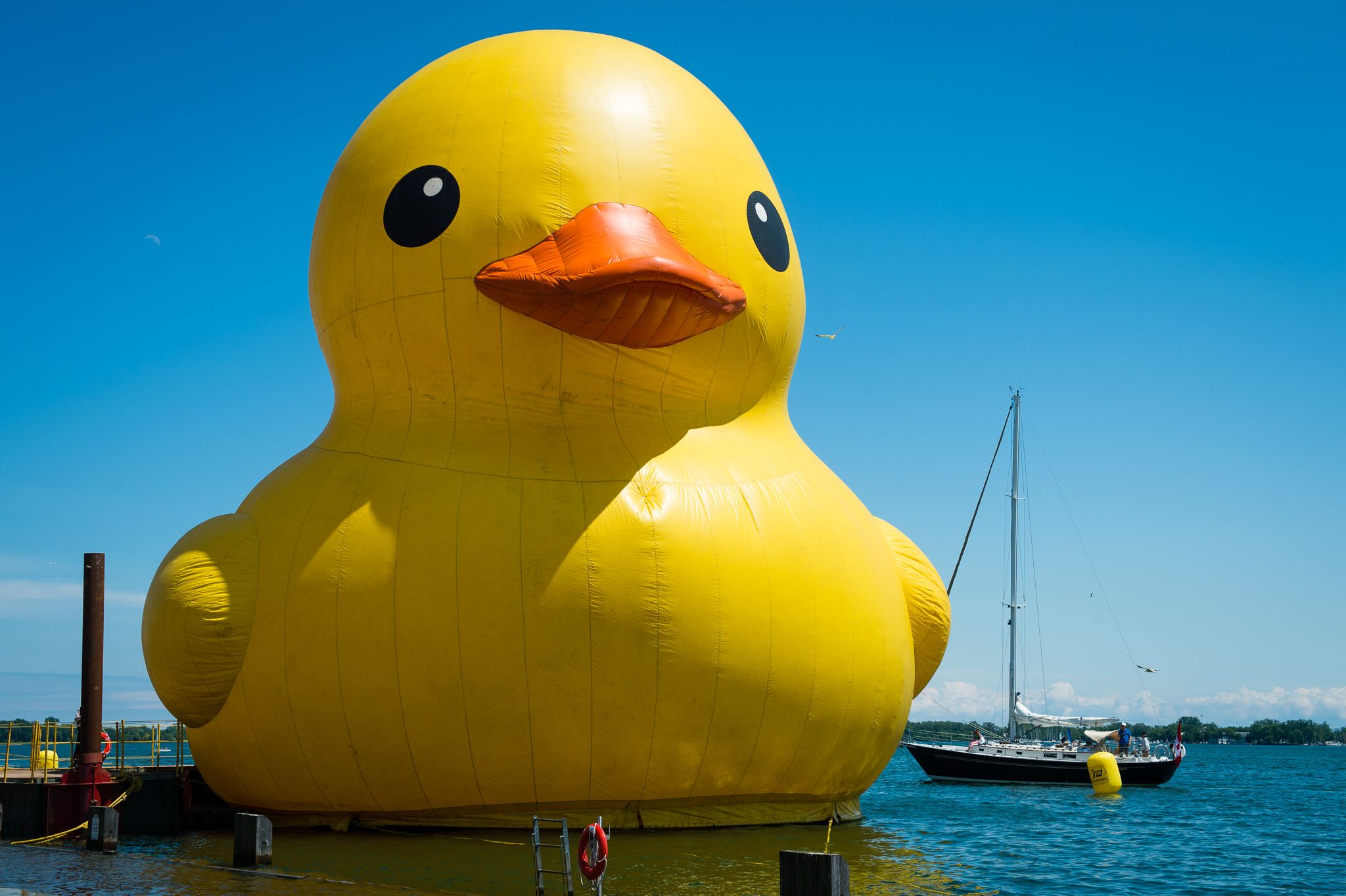 World's Largest Rubber Duck: Promoting Water Safety In Myrtle Beach World's Largest Rubber Duck: Promoting Water Safety In Myrtle Beach