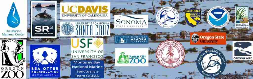 Wyoming Otter Conservation: A Pivotal Moment In Management Wyoming Otter Conservation: A Pivotal Moment In Management