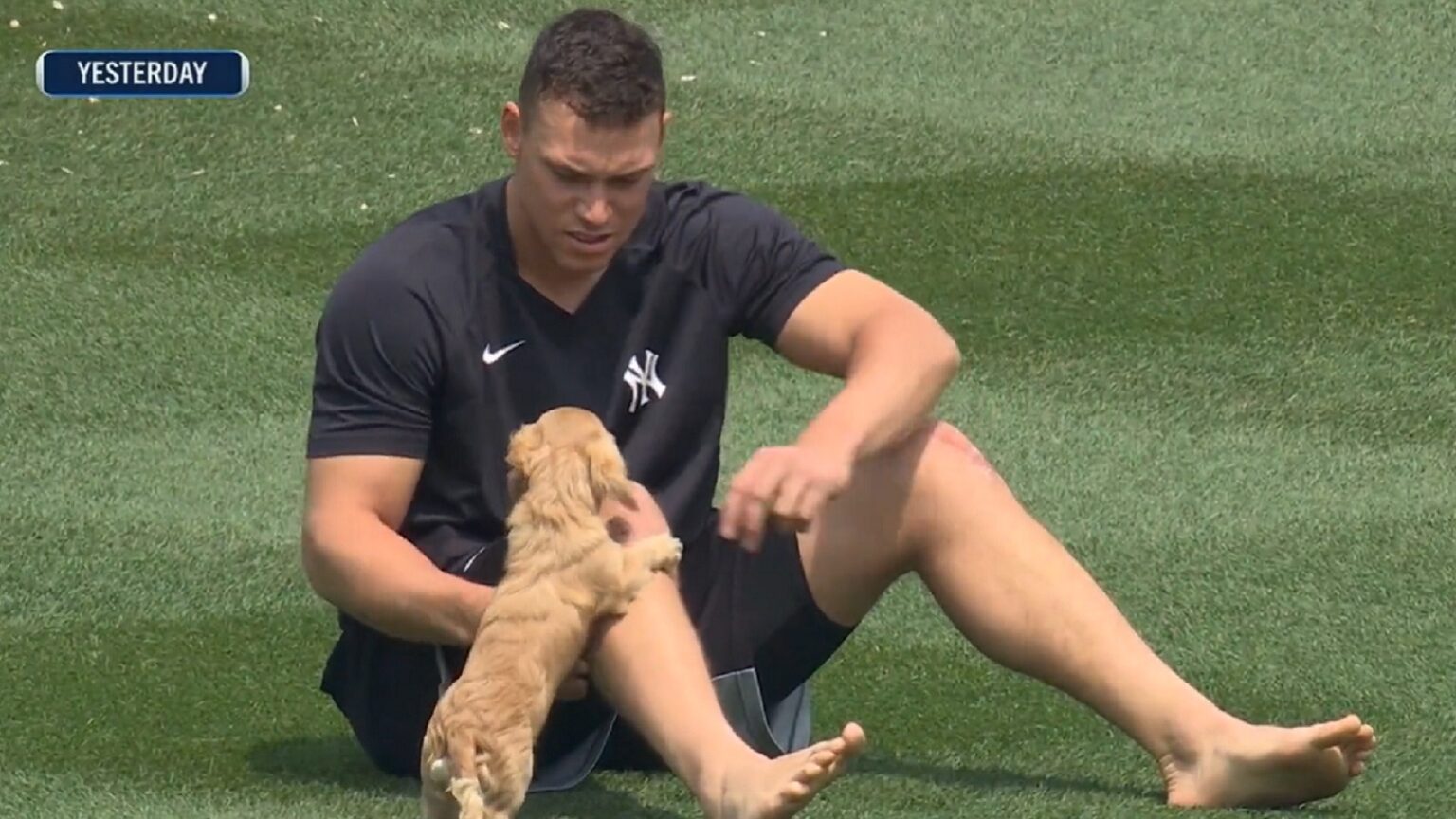 Yankee Star Aaron Judge's Push-Up Celebration: A 2025 Prediction? Yankee Star Aaron Judge's Push-Up Celebration: A 2025 Prediction?