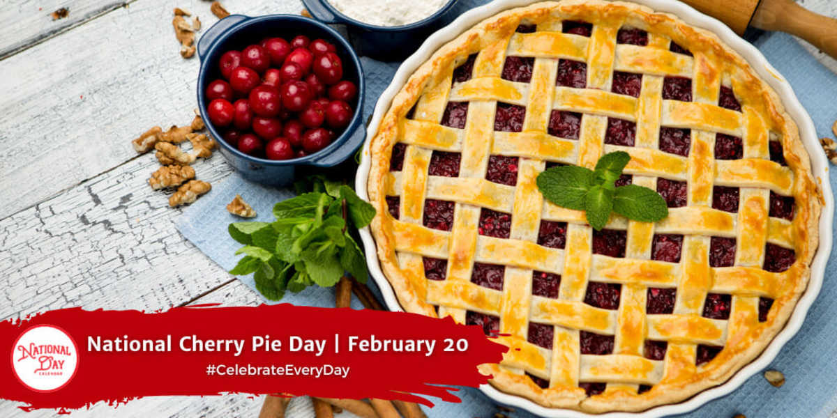 Your Guide To A Happy Day: February 20, 2025 Your Guide To A Happy Day: February 20, 2025
