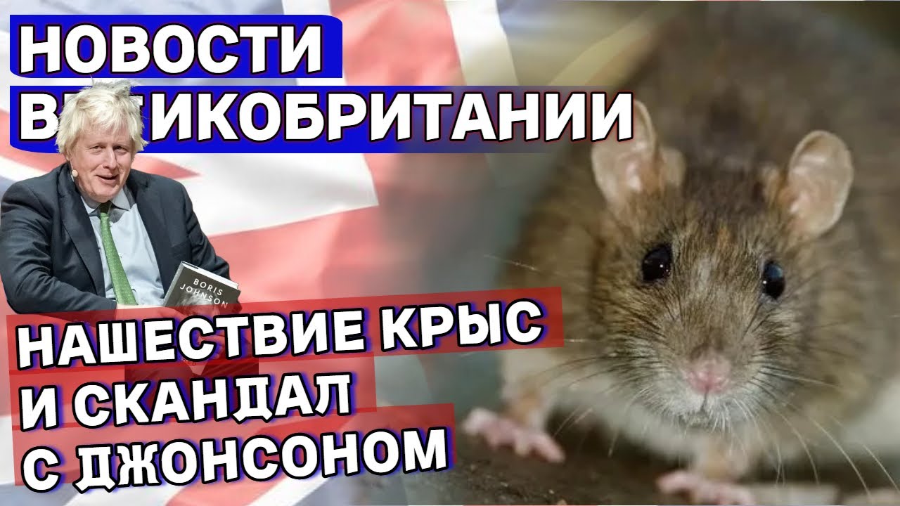 Завершення Війни В Україні: Критика Джонсоном Плану Трампа Завершення Війни В Україні: Критика Джонсоном Плану Трампа